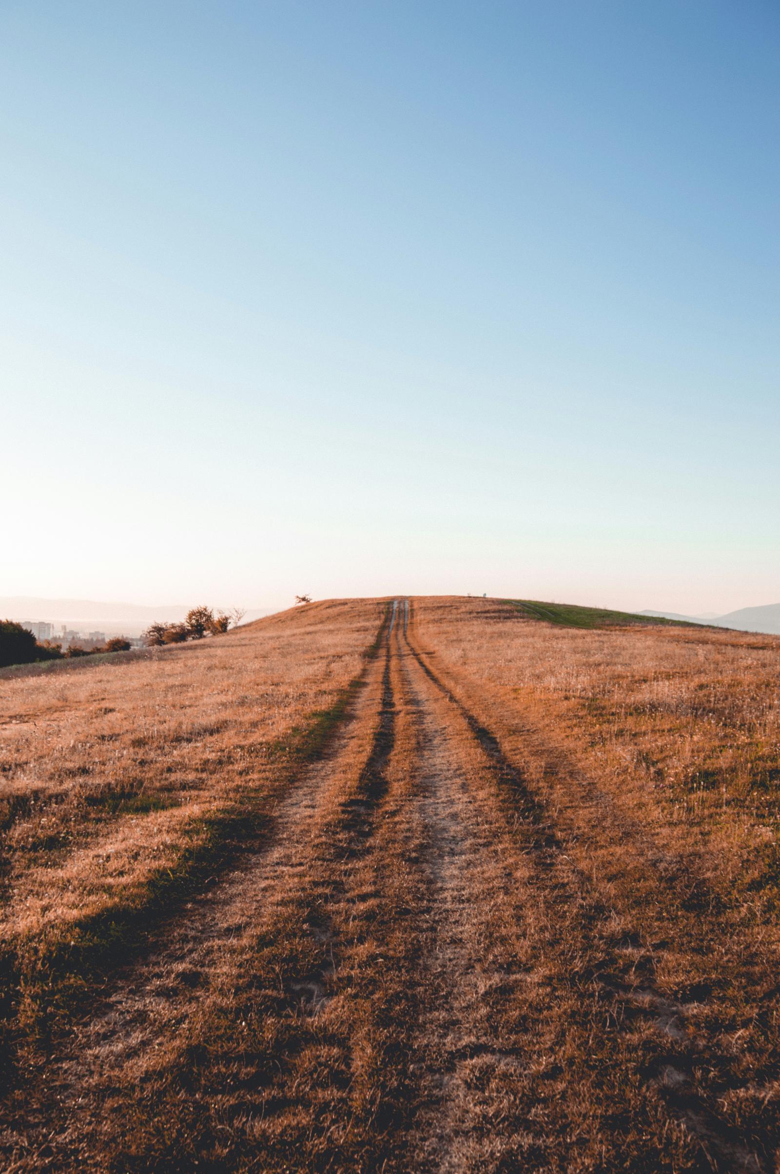 A two-track road running up a grassy hill at golden hour