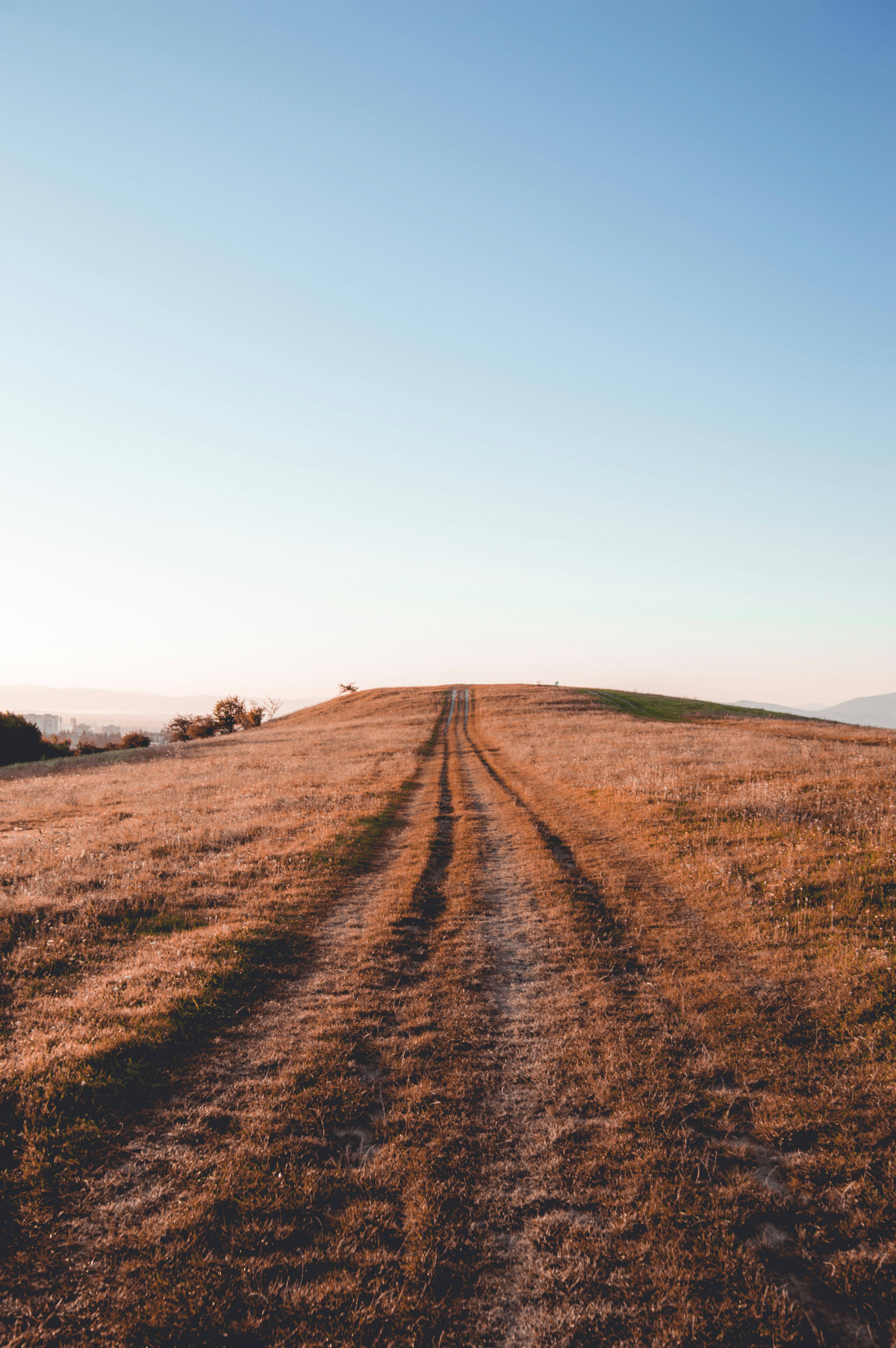 A two-track road running up a grassy hill at golden hour