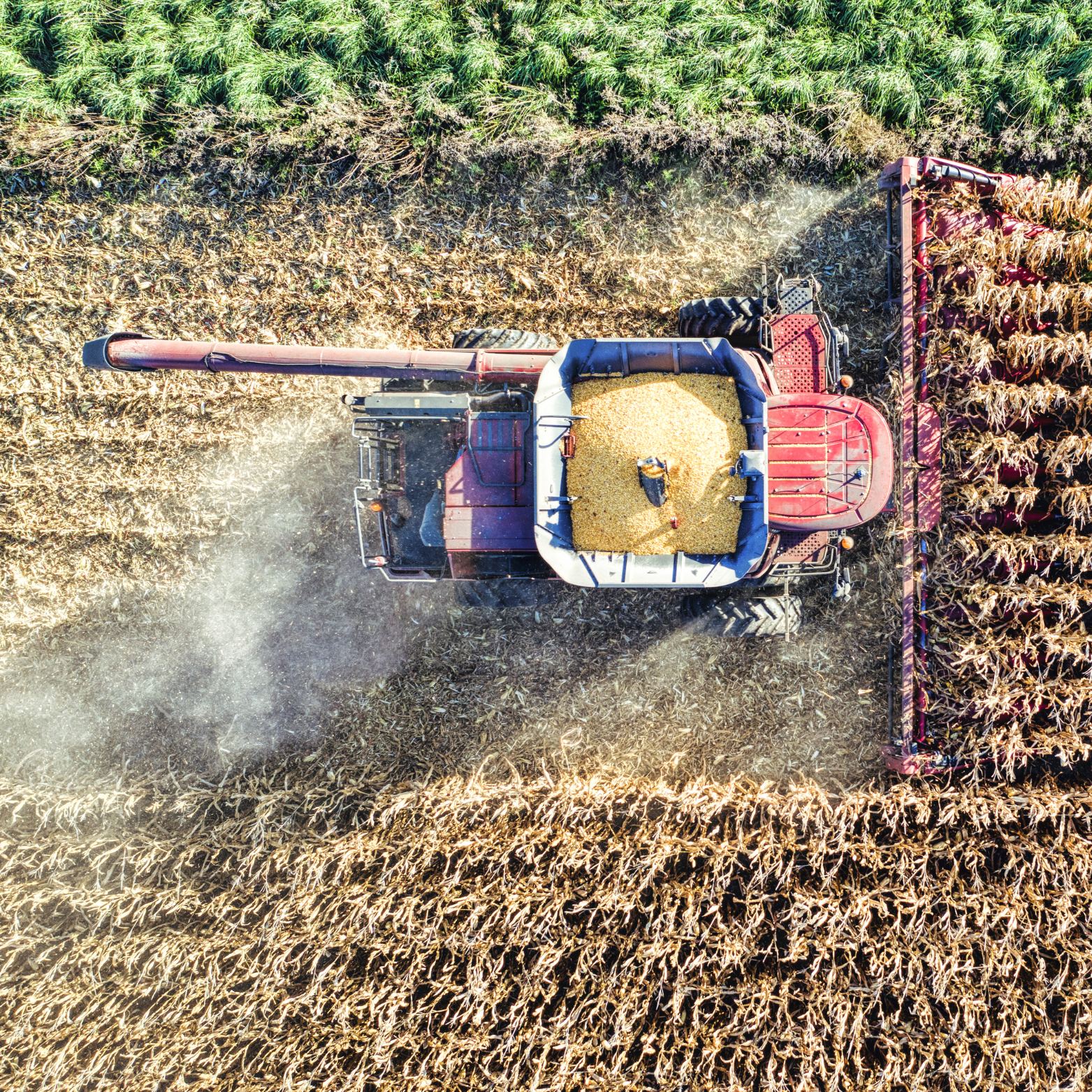 Combine harvesting a field from above