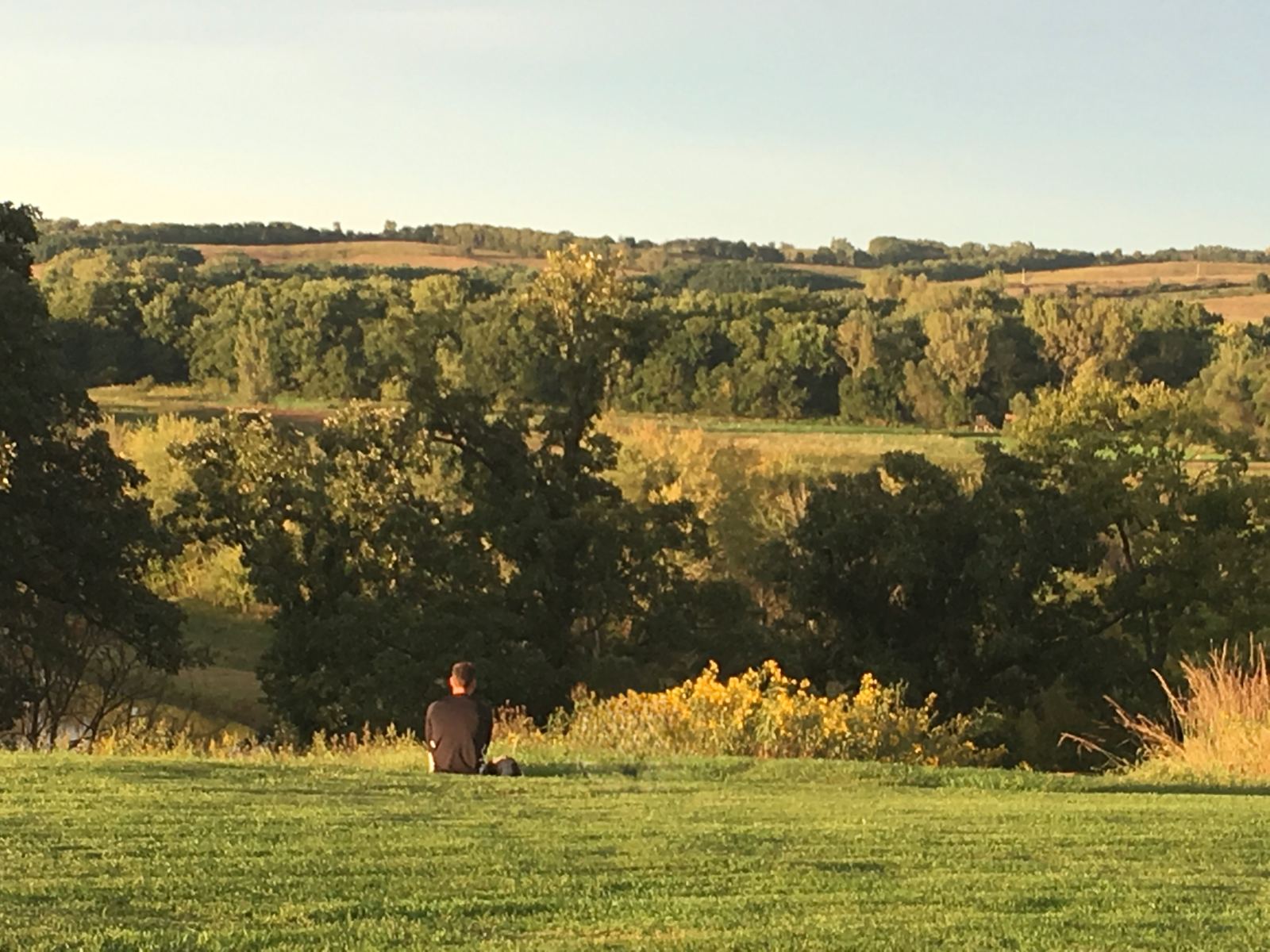 Sam's family property in Wisconsin, rolling hills, woods, and pasture at golden hour